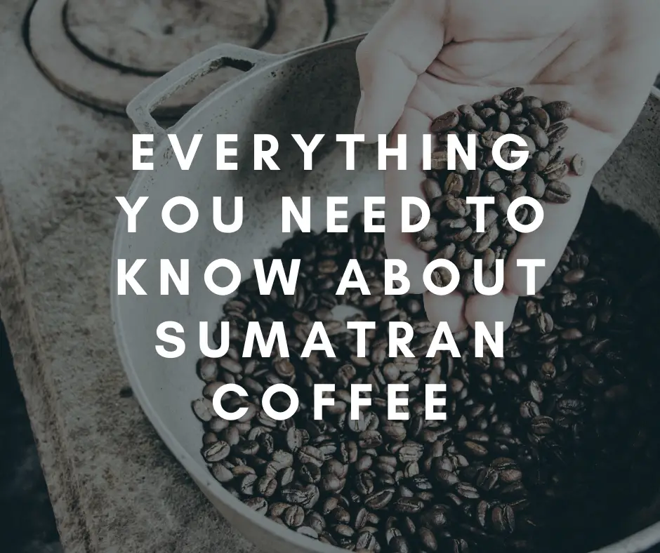 Everything to Know About Sumatran Coffee