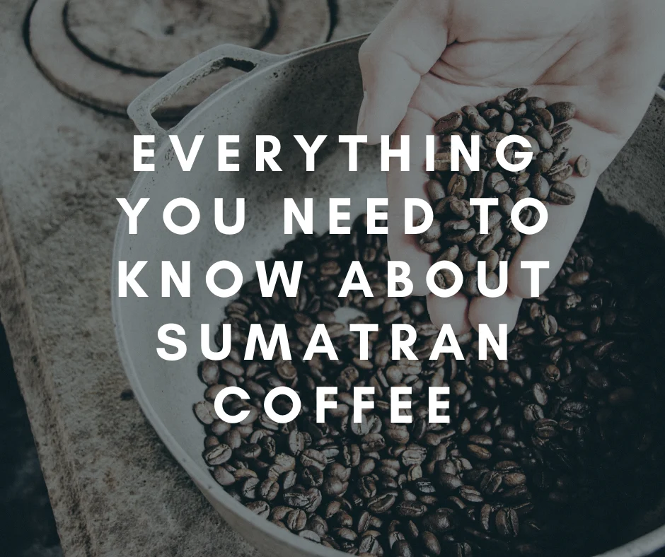 Everything you Need to Know About Sumatran Coffee 6 Sumatran coffee guide title graphic